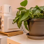 Apartamento Sanva Puerto del Carmen (Lanzarote)