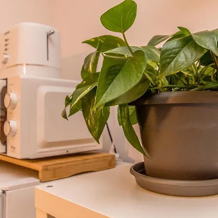 Апартаменты Sanva Пуэрто дель Кармен